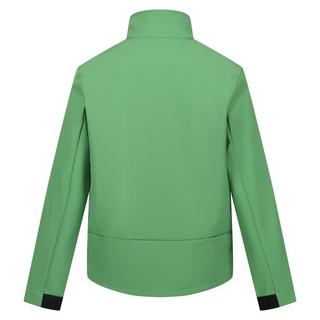 Regatta  Dendrick Softshelljacke 