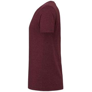 Bella + Canvas Erwachsenen TriBlend T-Shirt  