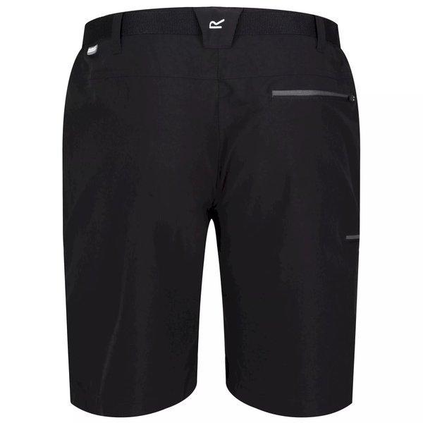 Regatta Xert III Freizeitshorts  