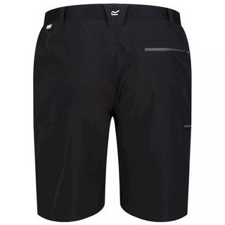 Regatta Xert III Freizeitshorts  