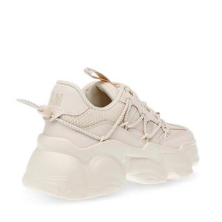 STEVE MADDEN  baskets spectator 