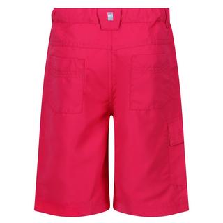 Regatta  Sorcer II Shorts 