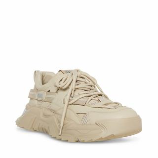 STEVE MADDEN  sneakers kingly 