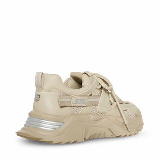 STEVE MADDEN  sneakers kingly 