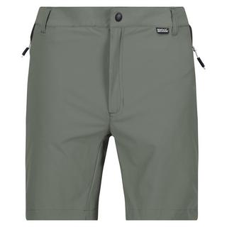 Regatta  Mountain II Shorts 