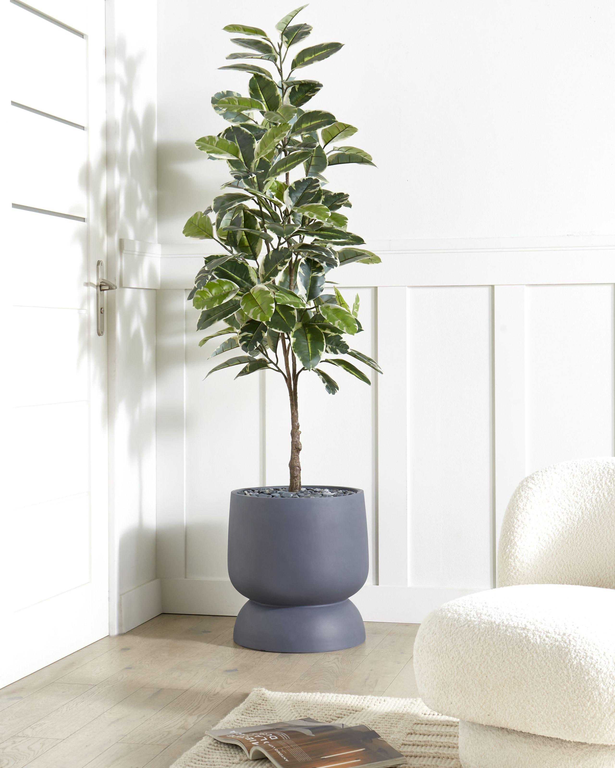 Beliani Cache-pot en Fibre d'argile Traditionnel ARAUCARIA  