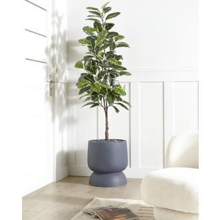 Beliani Cache-pot en Fibre d'argile Traditionnel ARAUCARIA  