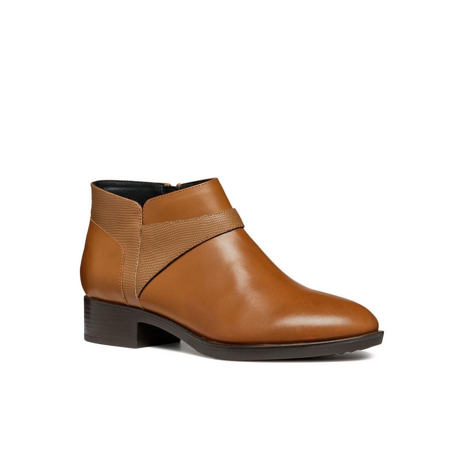 GEOX  bottines felicity b 