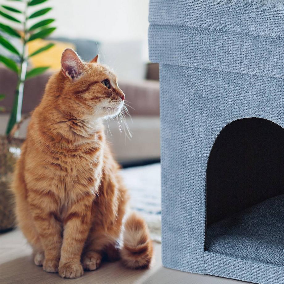 B2X  Tabouret pour niche à chat en gris 