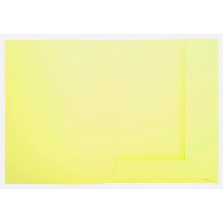 Exacompta Confezione da 50 cartelle 2 alette SUPER 210 - 24x32cm - x 5  