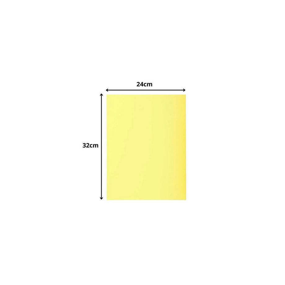 Exacompta Confezione da 50 cartelle 2 alette SUPER 210 - 24x32cm - x 5  