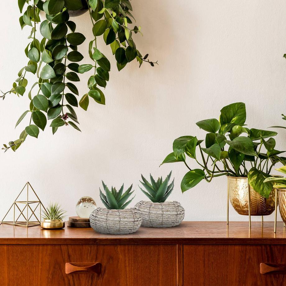 B2X  Schmuckhalter für die Wand 