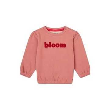 Baby Pullover Feurs