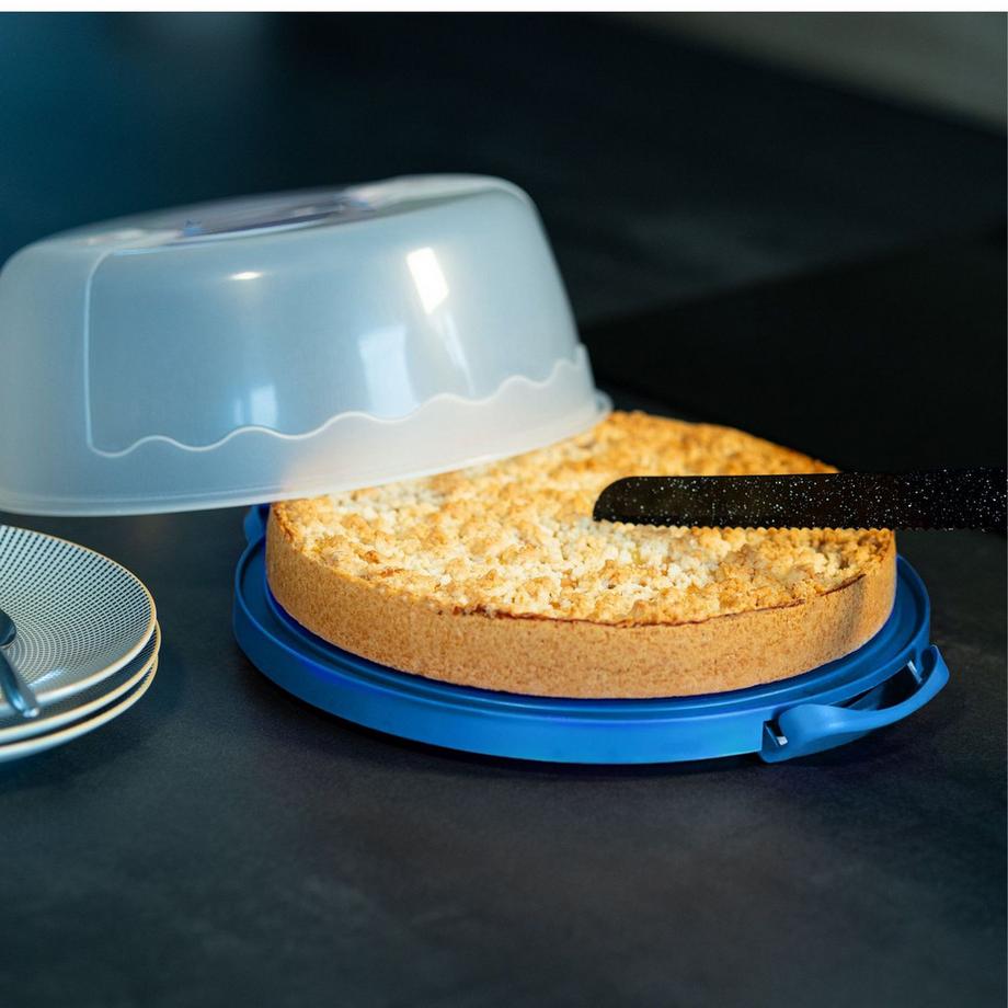 Intirilife Contenitore Per Il Trasporto Di Torte E Crostate  