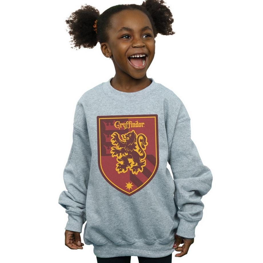 Harry Potter  Gryffindor Sweatshirt 