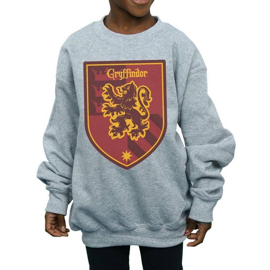 Harry Potter  Gryffindor Sweatshirt 