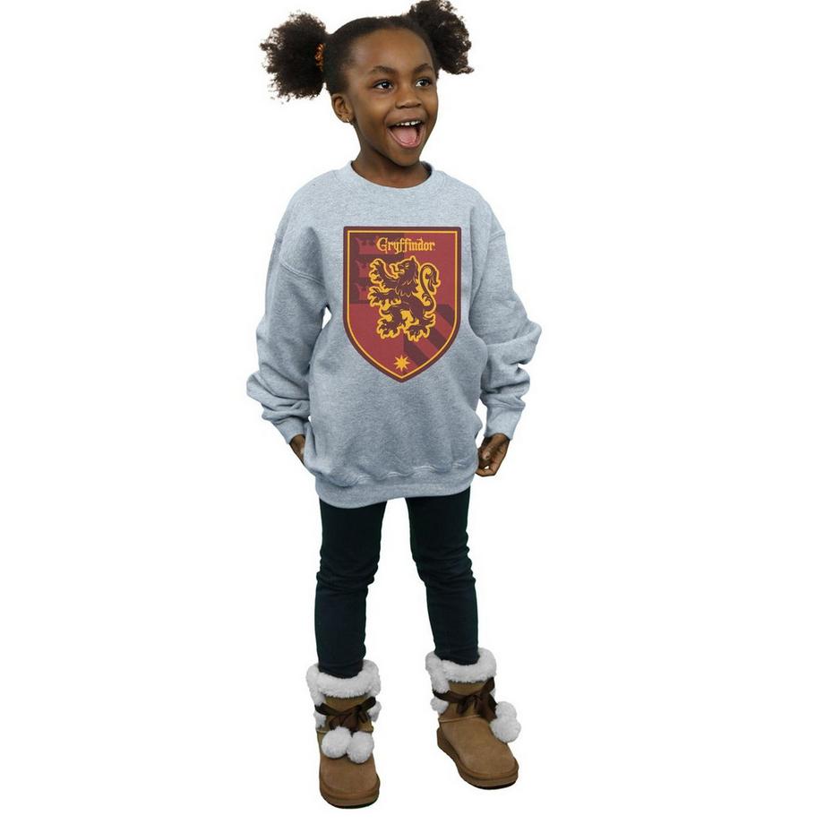 Harry Potter  Gryffindor Sweatshirt 