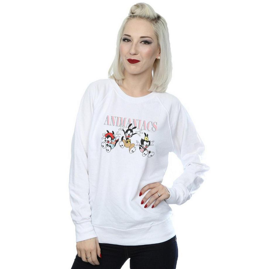 Animaniacs Sweatshirt Col Rond  