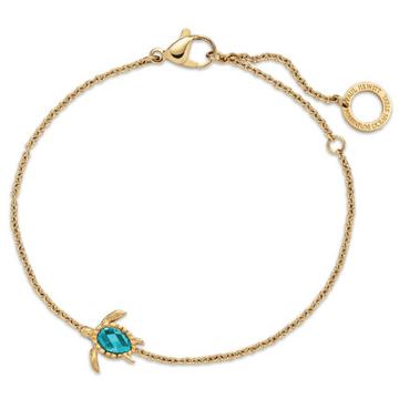 PH-JE-1589 Turtle Mono