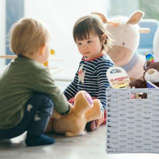 Northix Cestino portaoggetti pieghevole  