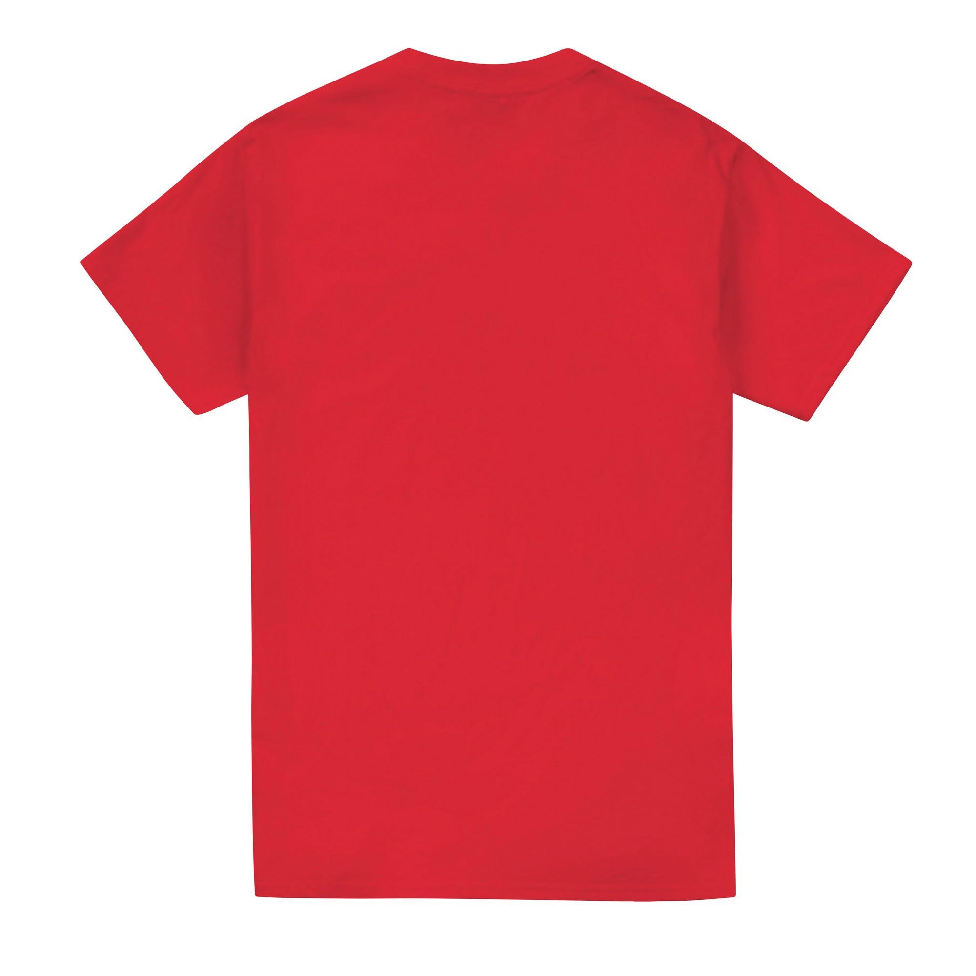 BATMAN Robin Logo T-Shirt  