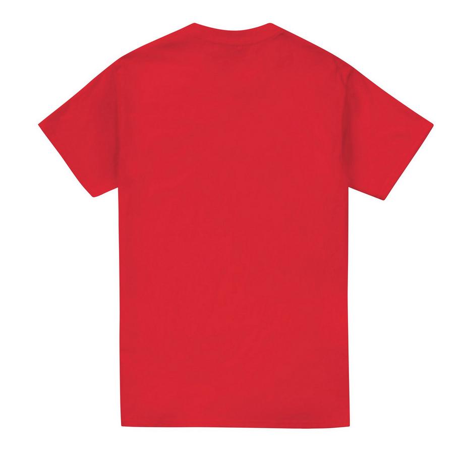 BATMAN Robin Logo T-Shirt  