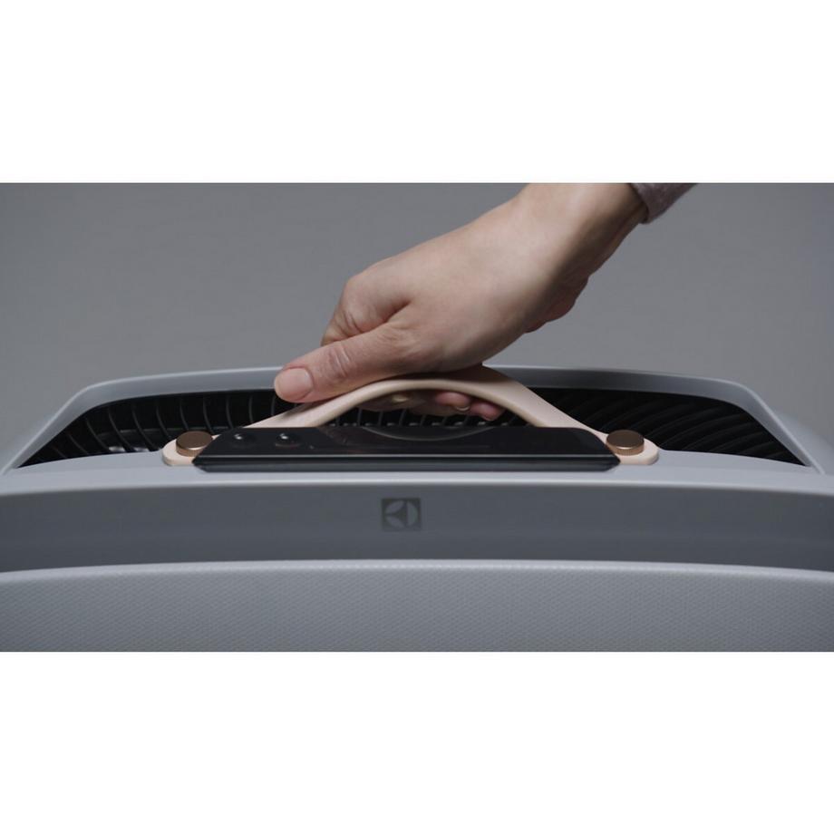 Electrolux Dekor Set Soft Birch zu Well A7 und A5  