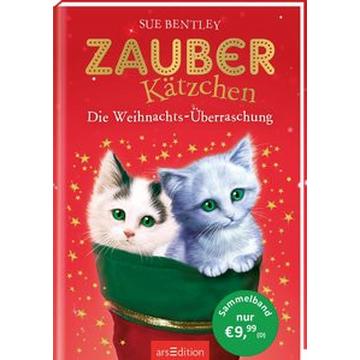 Zauberkätzchen - Die Weihnachts-Überraschung