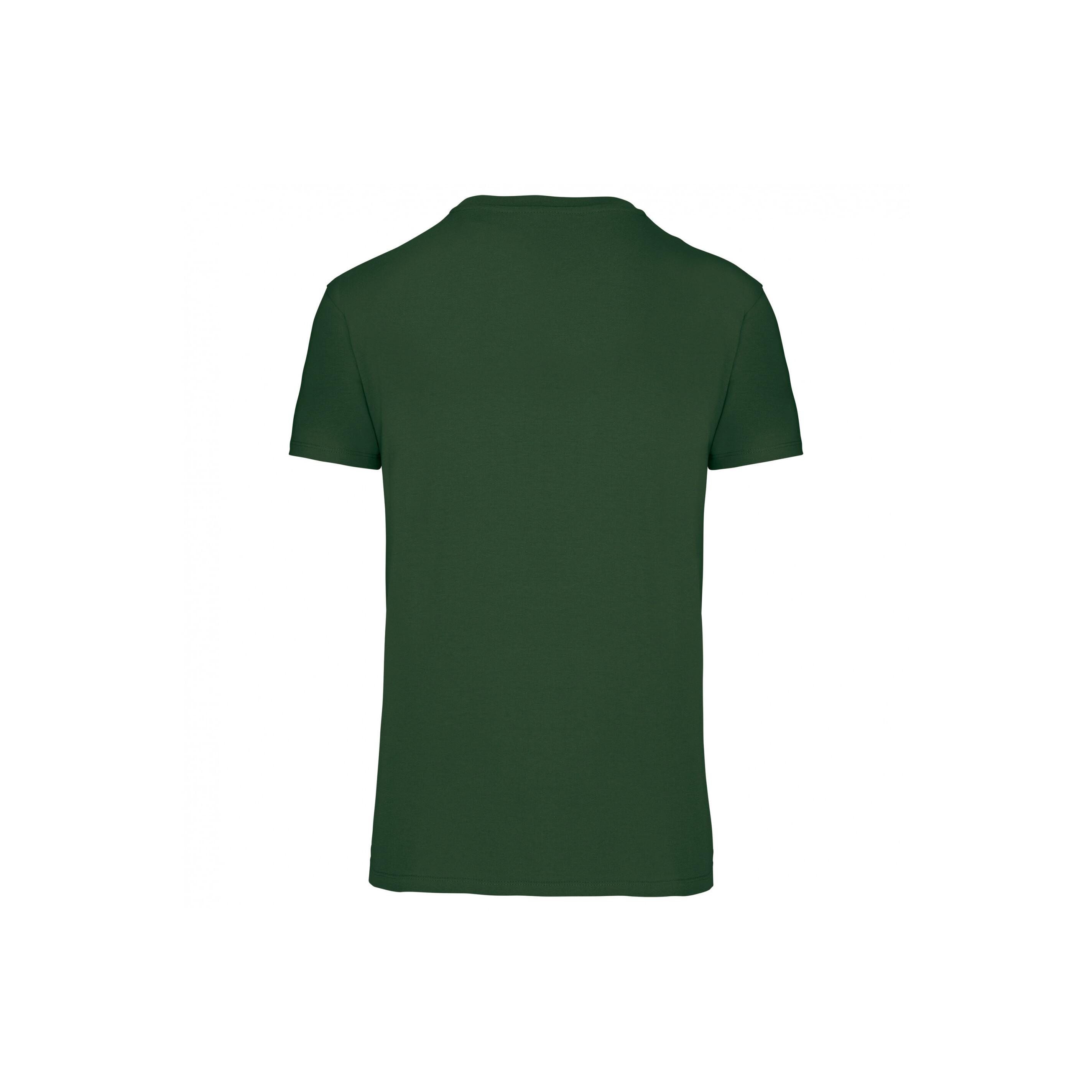 Kariban V-Ausschnitt T-Shirt BIO150IC  