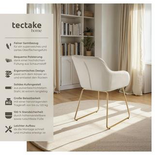 Tectake Esszimmerstuhl Jeane gepolstert, in Samtoptik höhenverstellbare Füße  