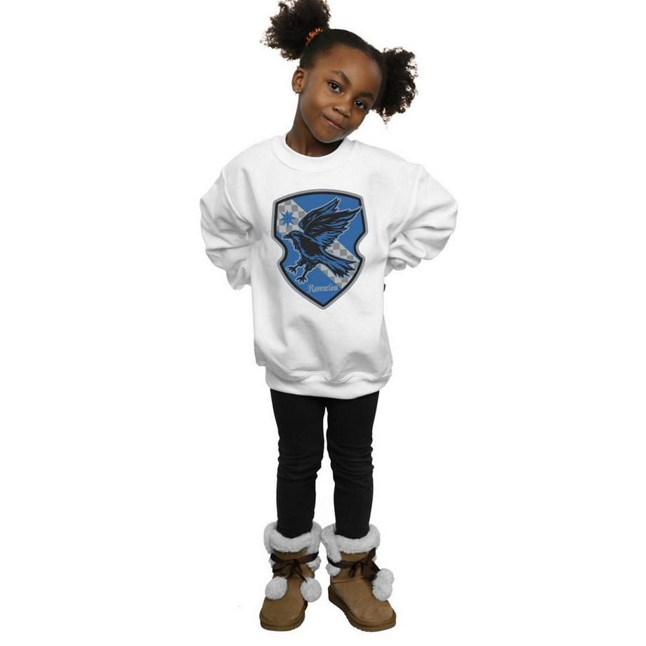 Harry Potter  Ravenclaw Sweatshirt 