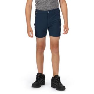 Regatta  Highton Shorts 