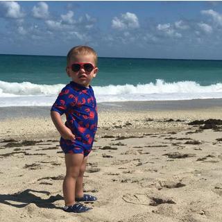 Palm Beachies  Sharks 