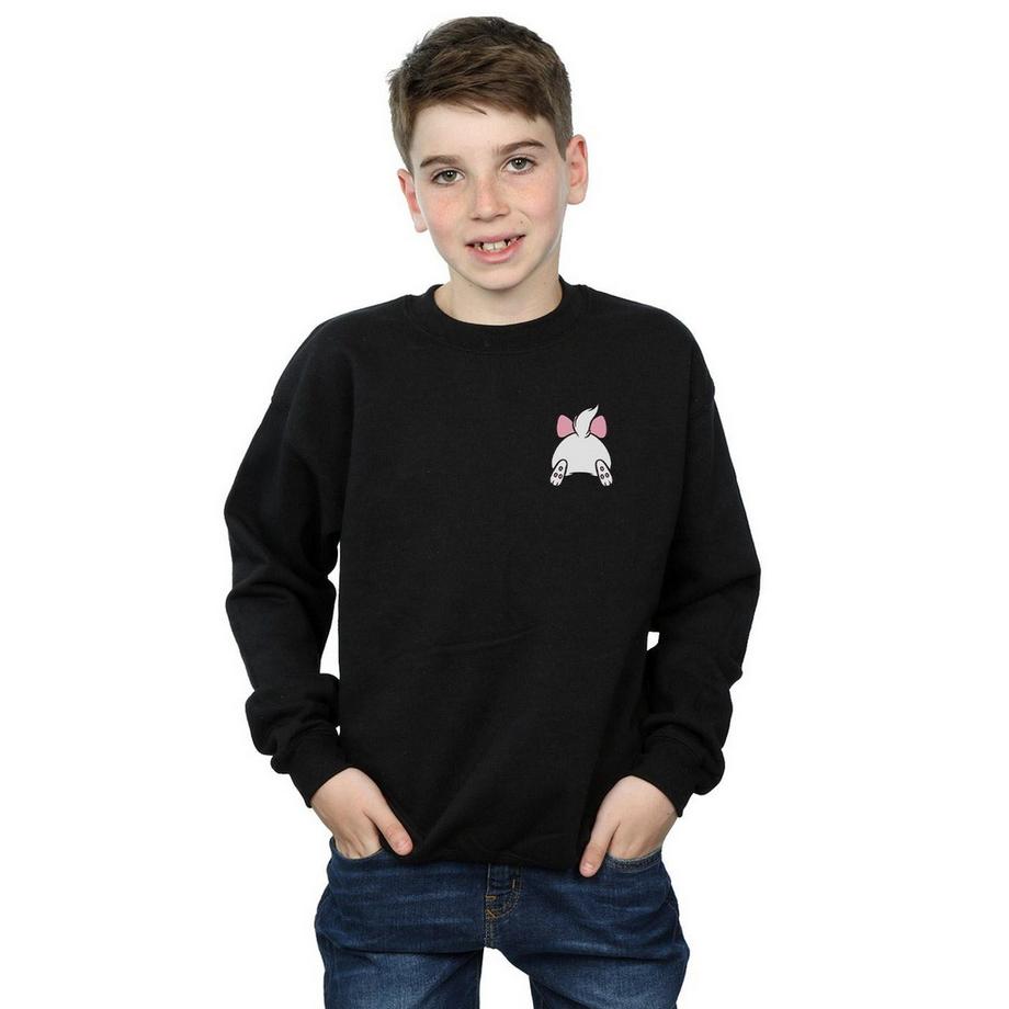 Disney  Aristocats Sweatshirt 