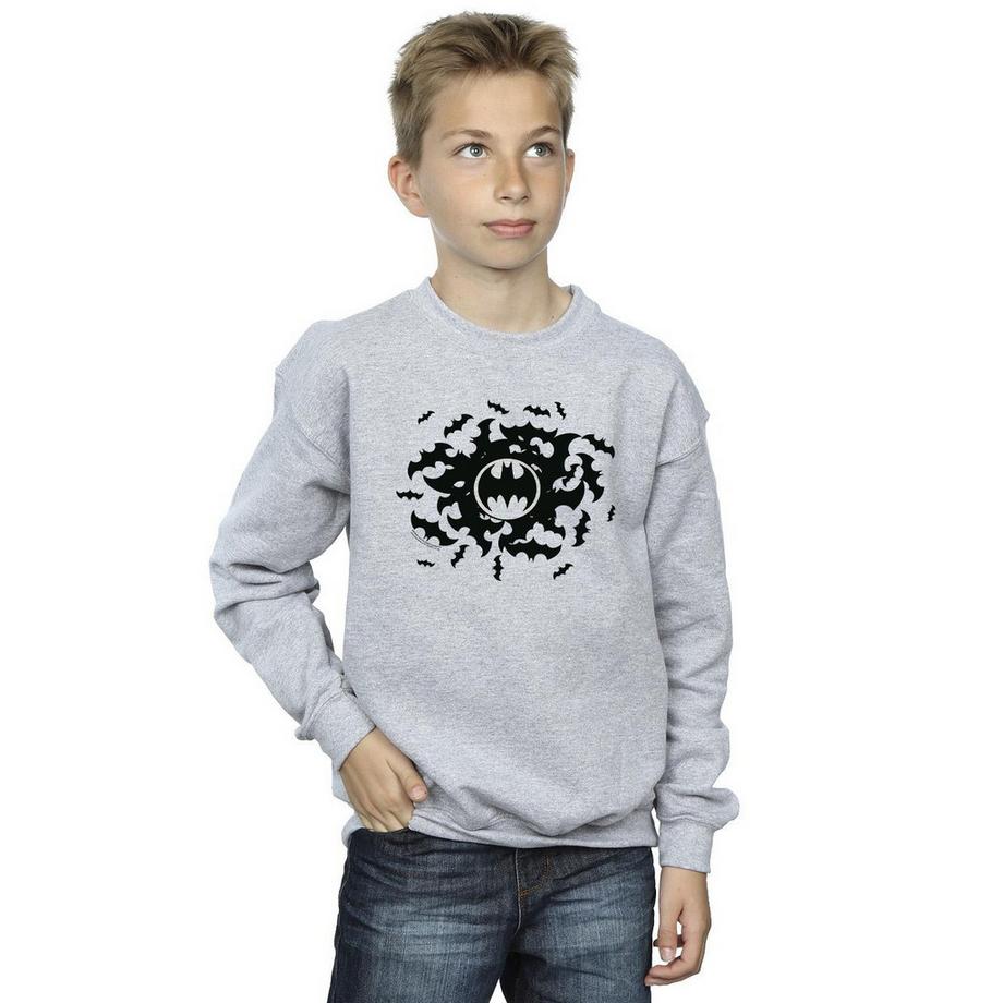 DC COMICS  Sweatshirt 