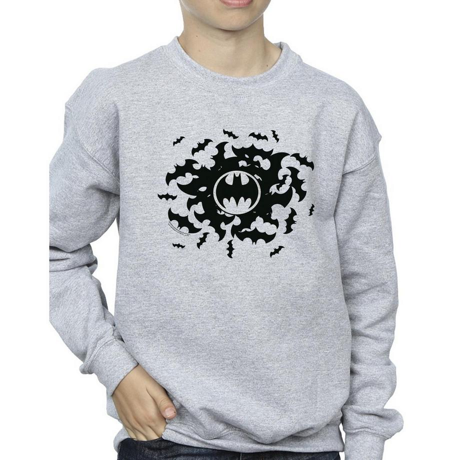 DC COMICS  Sweatshirt 