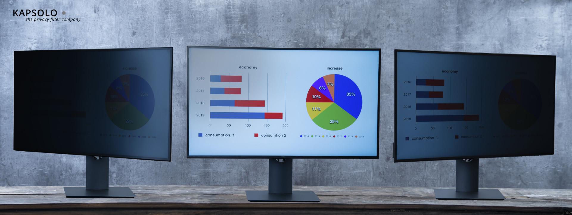 KAPSOLO  Écran de confidentialité insérable à 2 angles pour 59,94cm (23,6'') Wide 16:9 