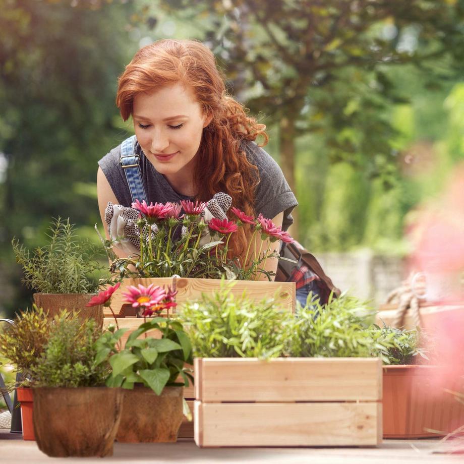 B2X Blumentopf - 3er-Set  