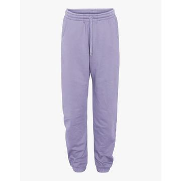 Organic Sweatpants-L