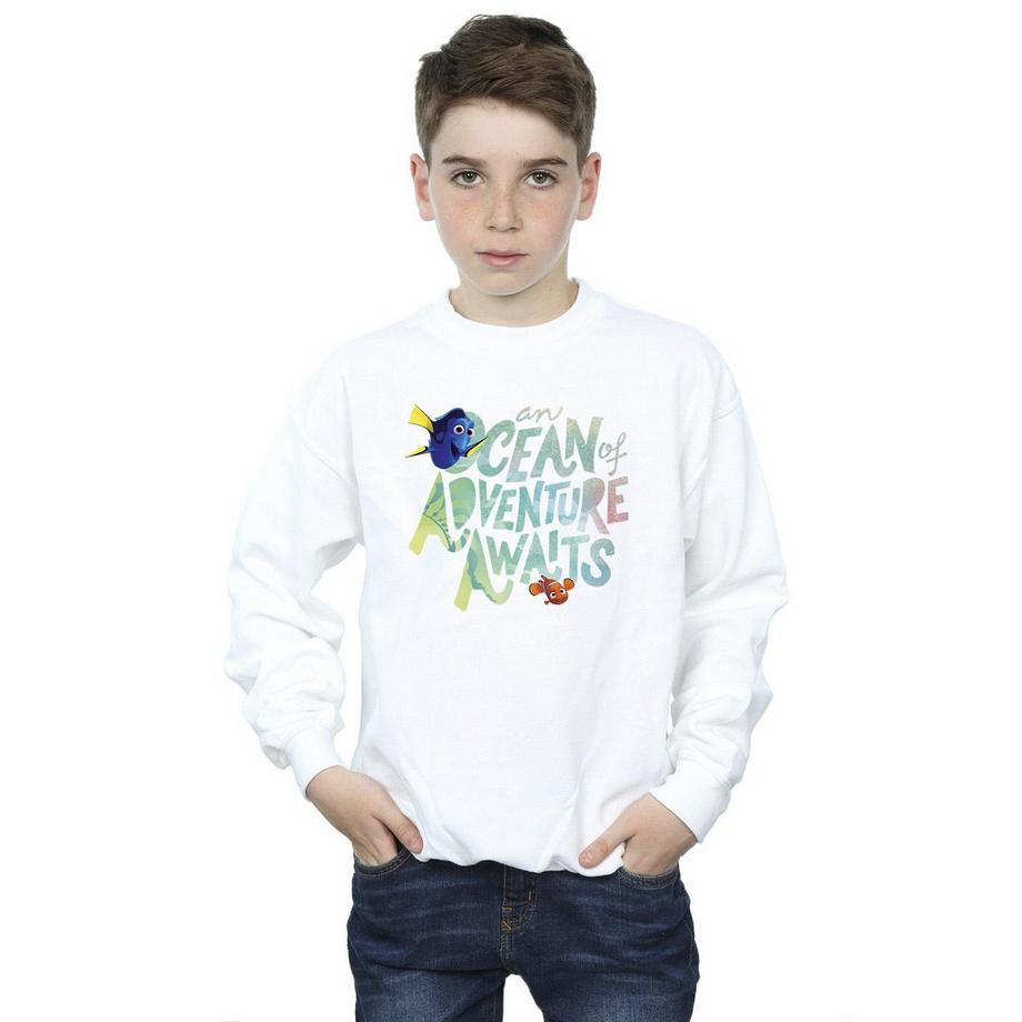 Disney  Finding Dory Ocean Of Adventure Sweatshirt 