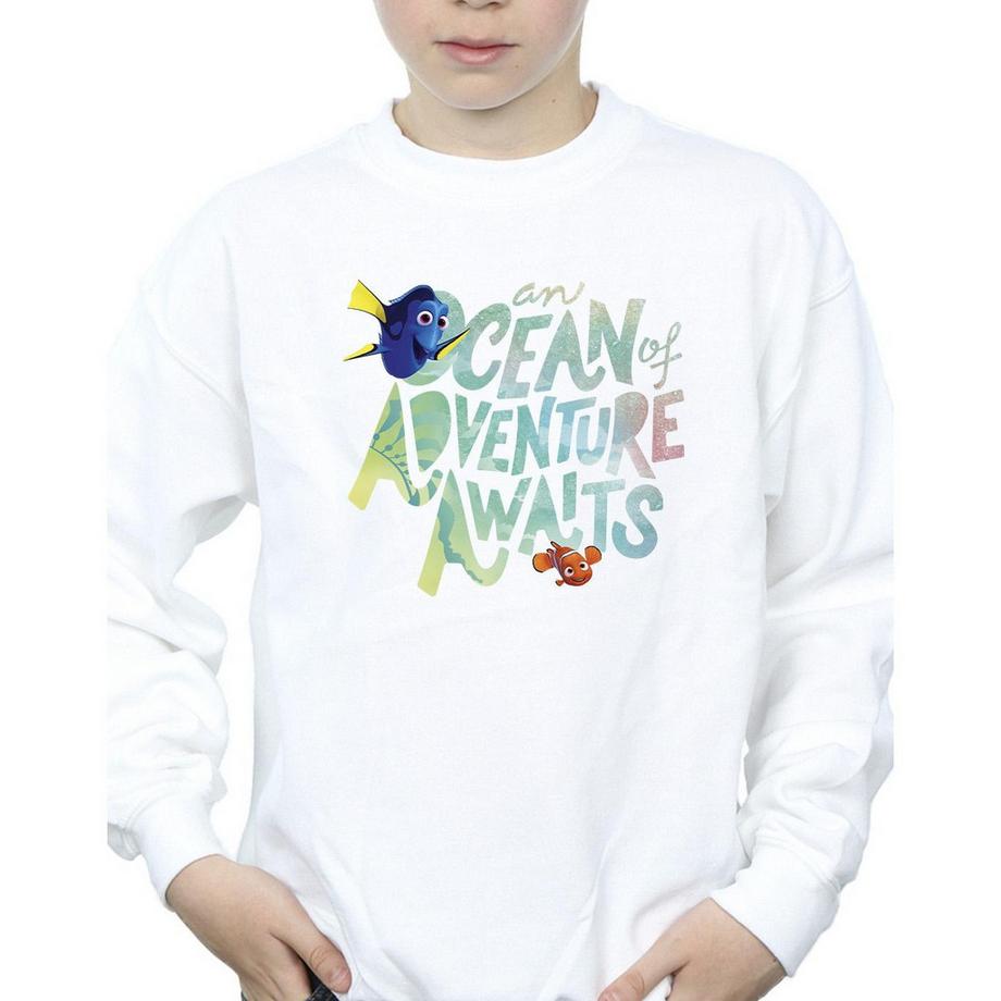 Disney  Finding Dory Ocean Of Adventure Sweatshirt 