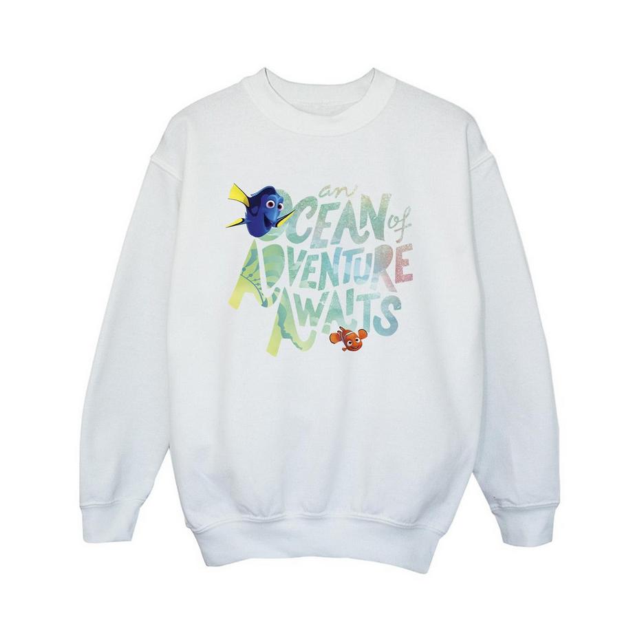 Finding Dory Ocean Of Adventure Sweatshirt