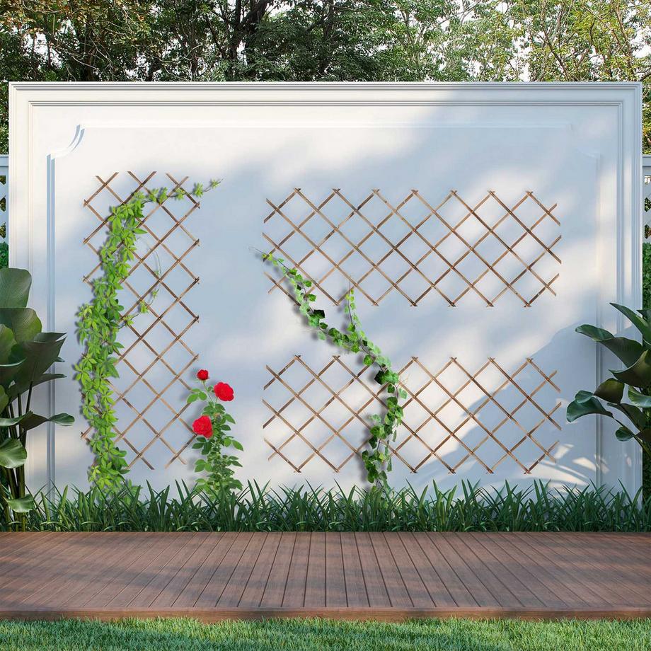 Northix Ensemble de treillis extensible pour plantes  