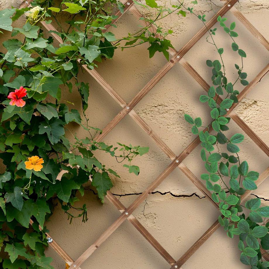 Northix Ensemble de treillis extensible pour plantes  
