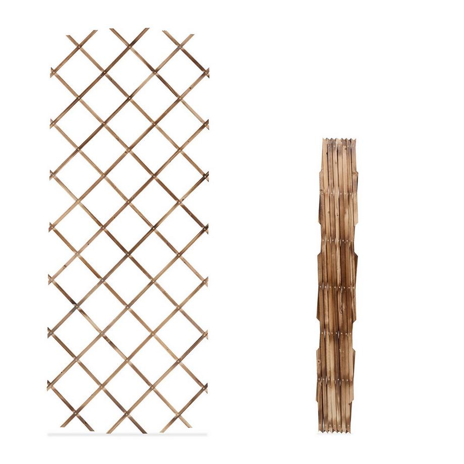 Northix Ensemble de treillis extensible pour plantes  