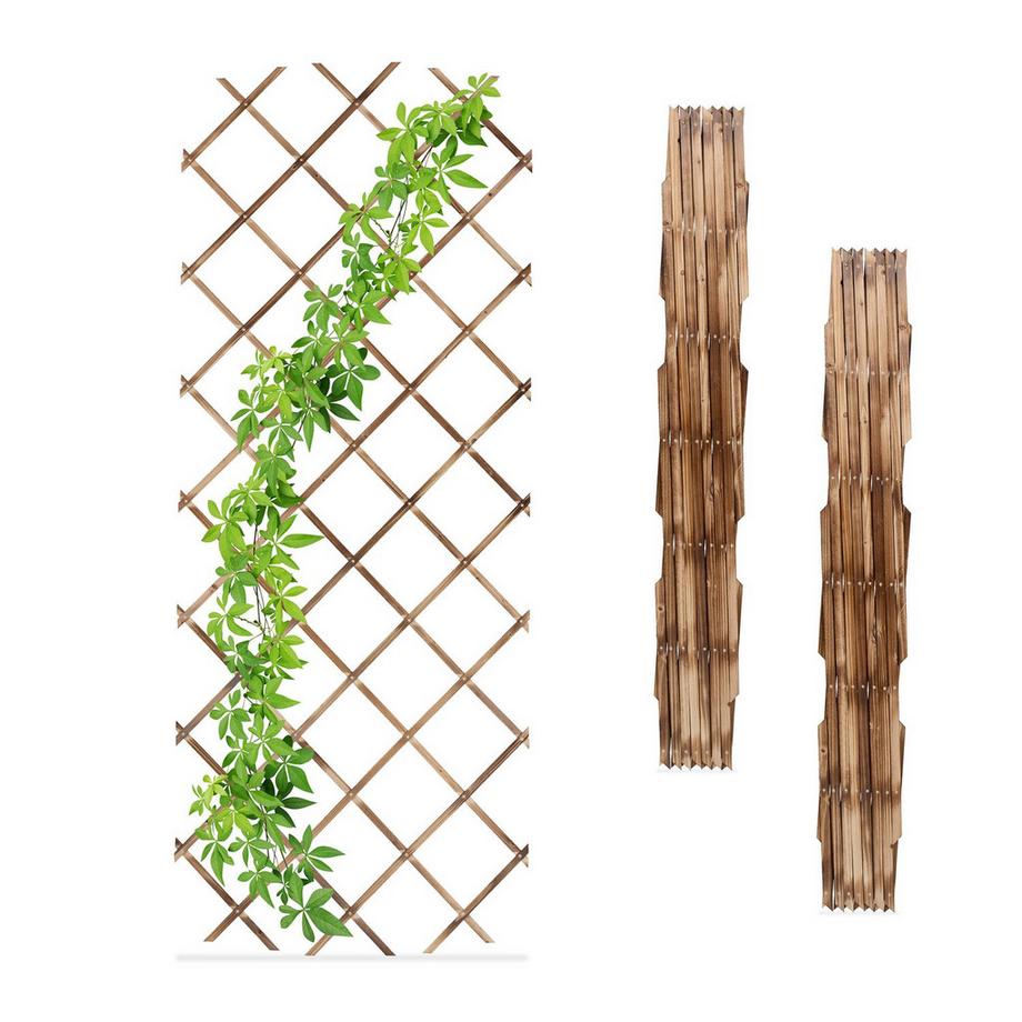 Northix Ensemble de treillis extensible pour plantes  