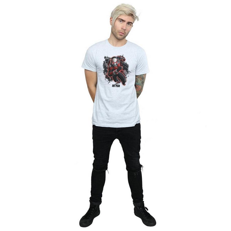 MARVEL Ant-Man Grafikdruck T-Shirt  