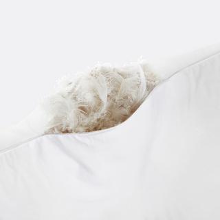 La Redoute Intérieurs Kopfkissenbezug zum Befüllen  