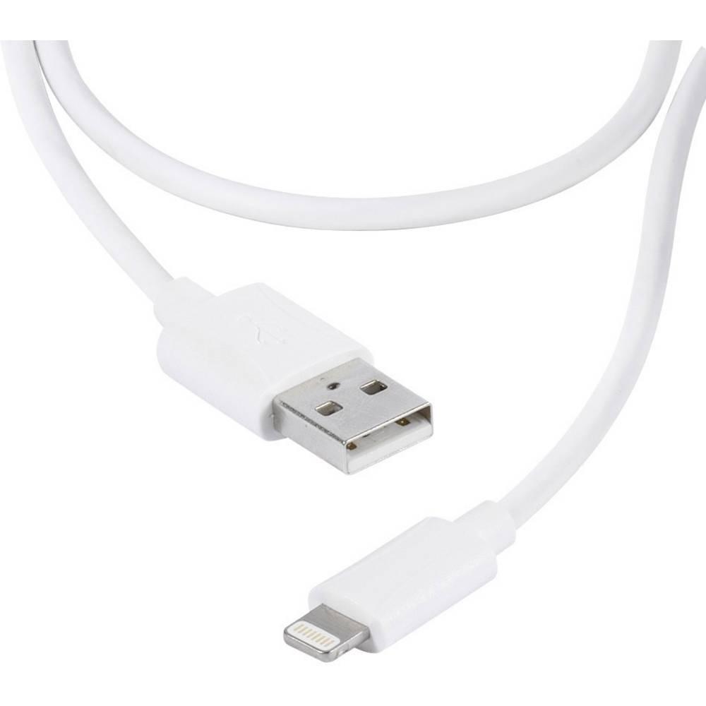 VIVANCO  Câble de données USB Lightning pour appareils Apple, 2 m 