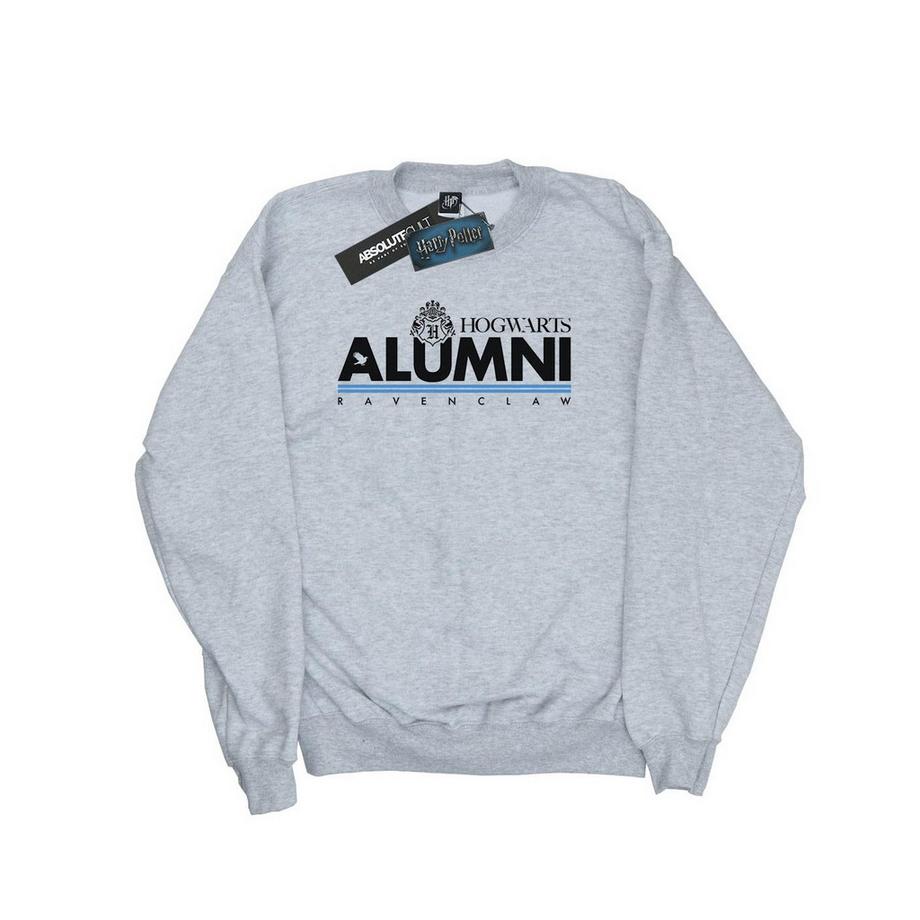 Harry Potter Hogwarts Ravenclaw Alumni Felpa  
